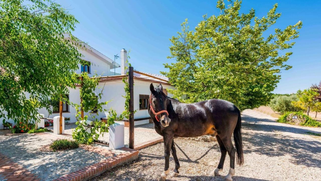 Cortijo Rica Santa Cruz Del Comercio By Ruralidays Villa Granada Kültér fotó